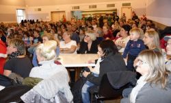 Arbre De Nol Spf   005